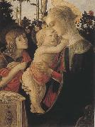 Sandro Botticelli Madonna of the Rose Garden or Madonna and Child with St John the Baptist oil